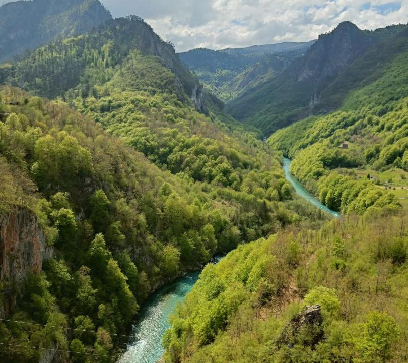 Photo of Others in Montenegro