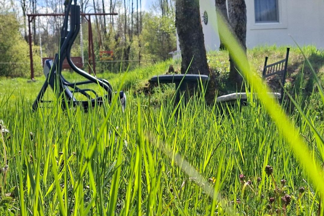 Photo of Outdoor in Savnik