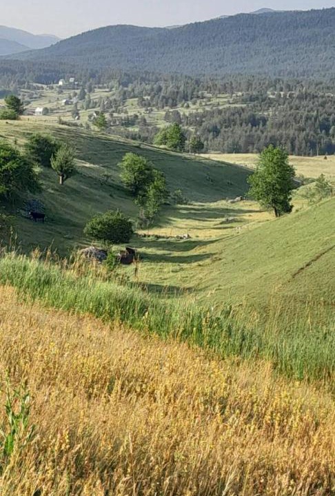 Photo of Others in Ninkovici