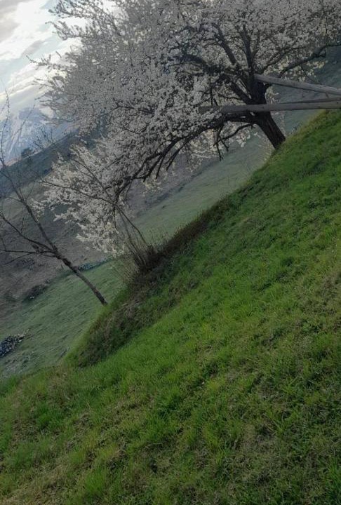 Photo of Others in Ninkovici