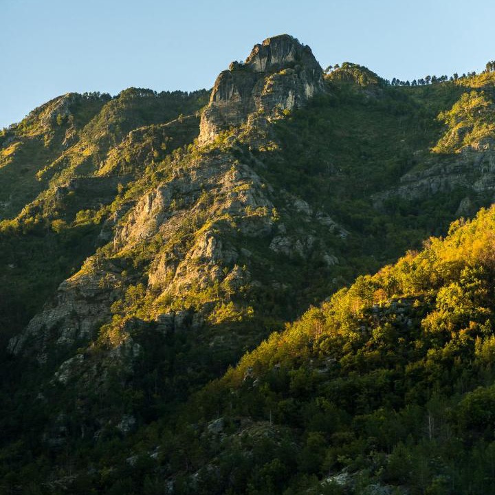 Photo of Others in Grahovo