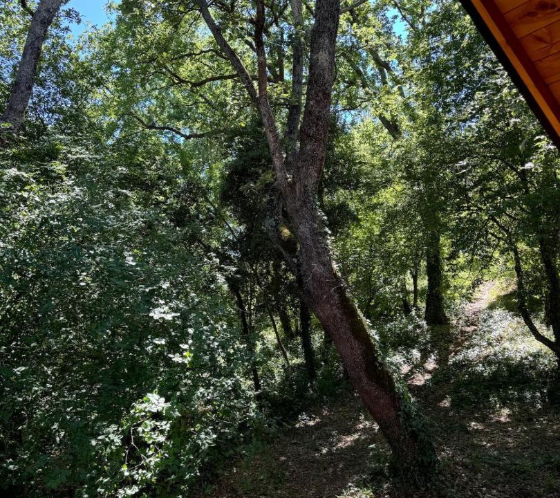 Photo of Others in Gjerana