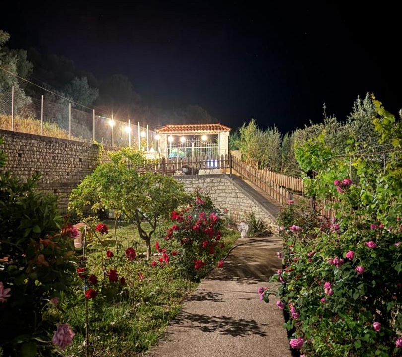Photo of Others in Berat