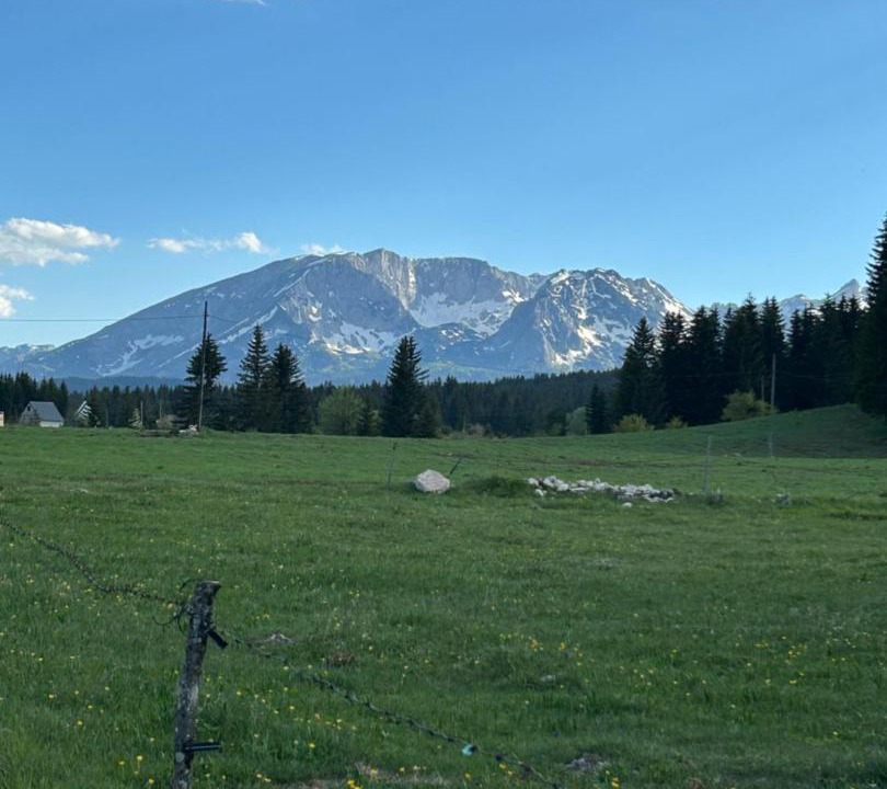Photo of Others in Zabljak