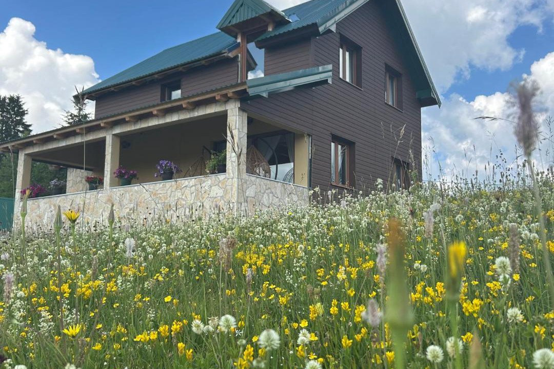 Photo of Others in Zabljak