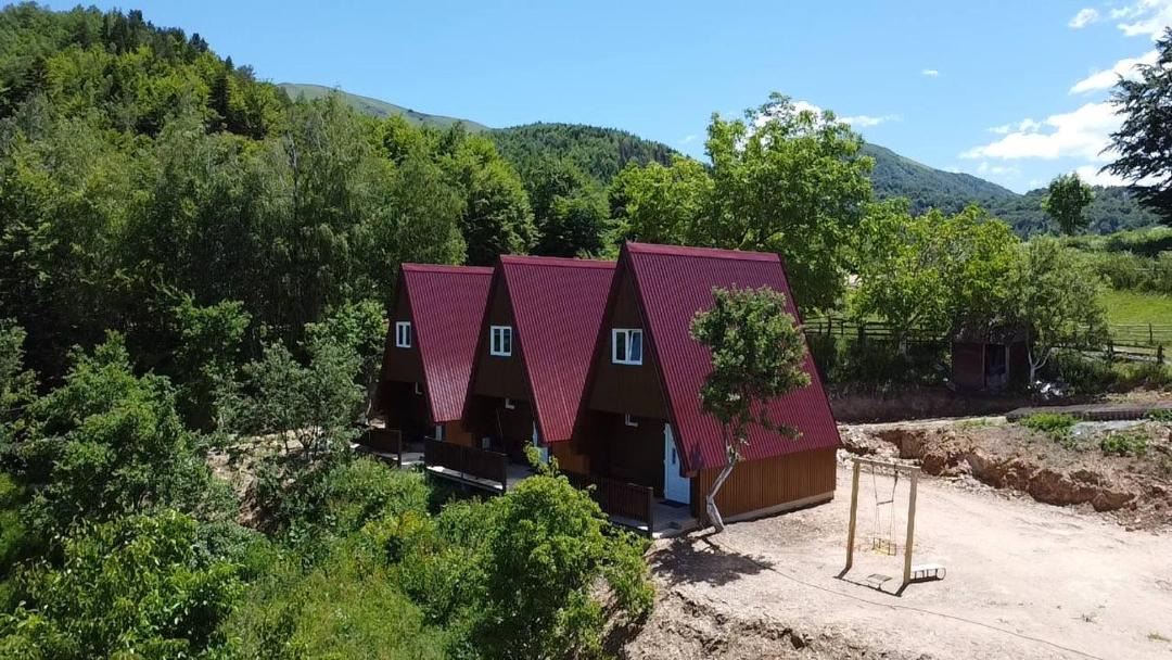 Photo of Others in Montenegro
