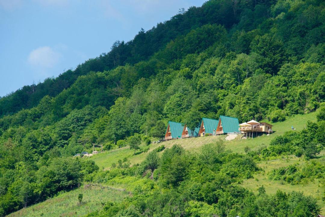 Photo of Others in Plav