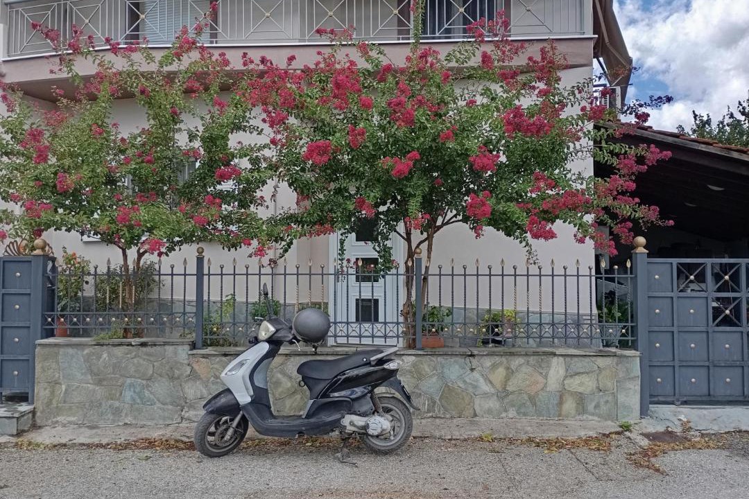 Photo of Others in Trikala