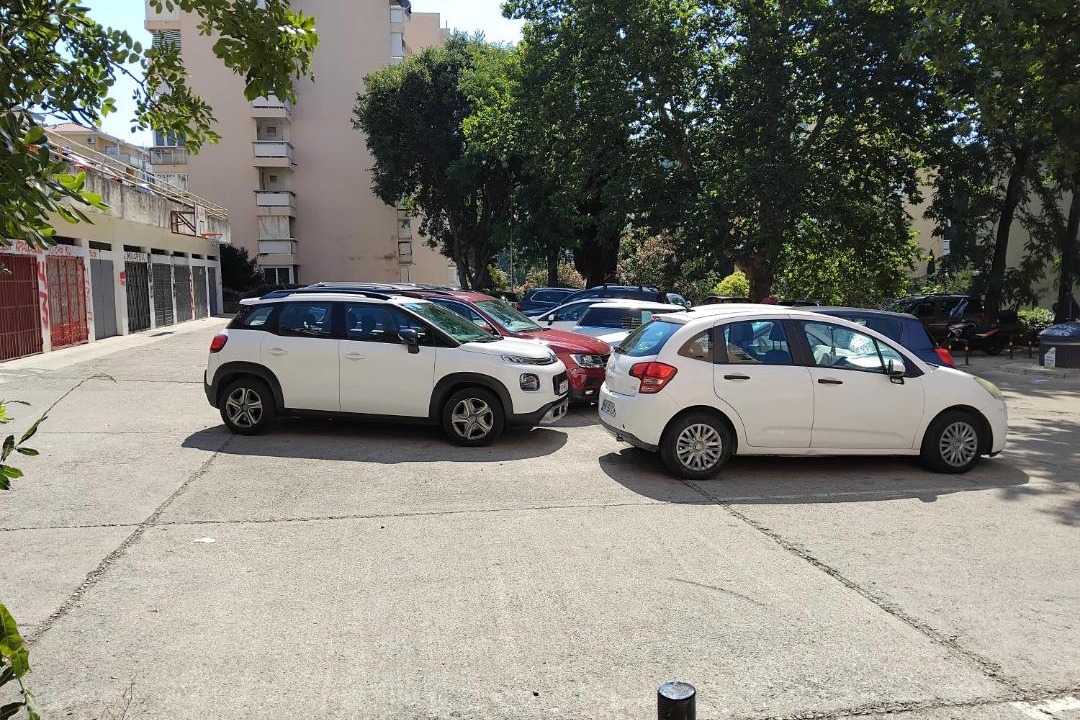 Photo of Others in Topla