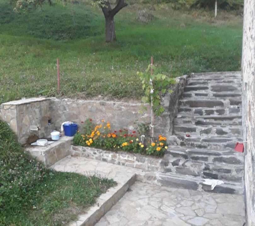 Photo of Others in Montenegro