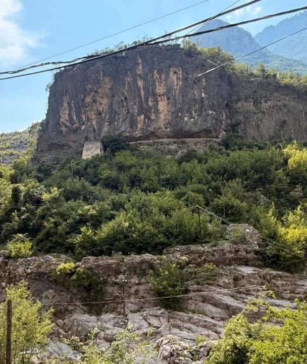 Photo of Others in Tamare
