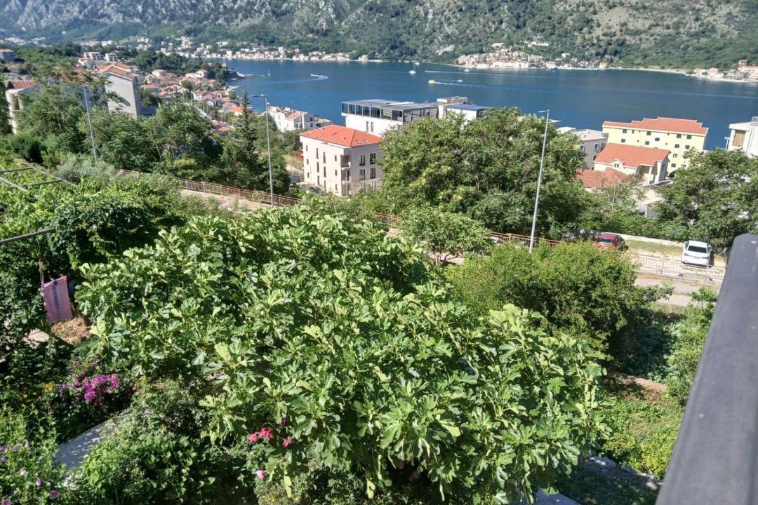 Photo of Others in Dobrota