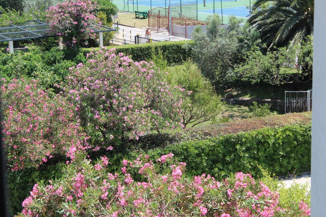 Photo of Others in Petrovac