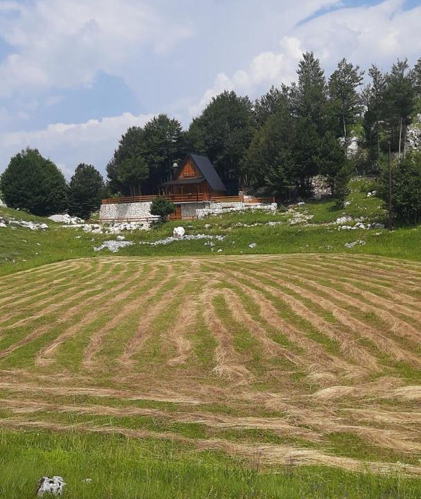 Photo of Others in Cetinje