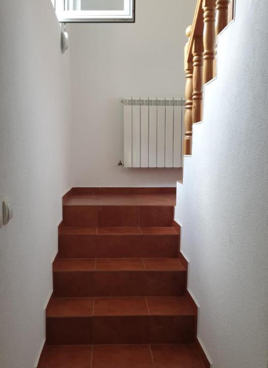 Photo of Others in Montenegro