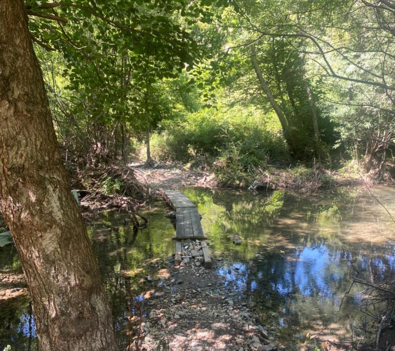 Photo of Others in Shkoder County