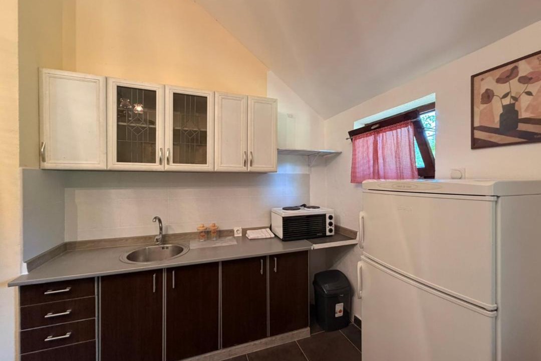 Photo of Kitchen in Danilovgrad Municipality