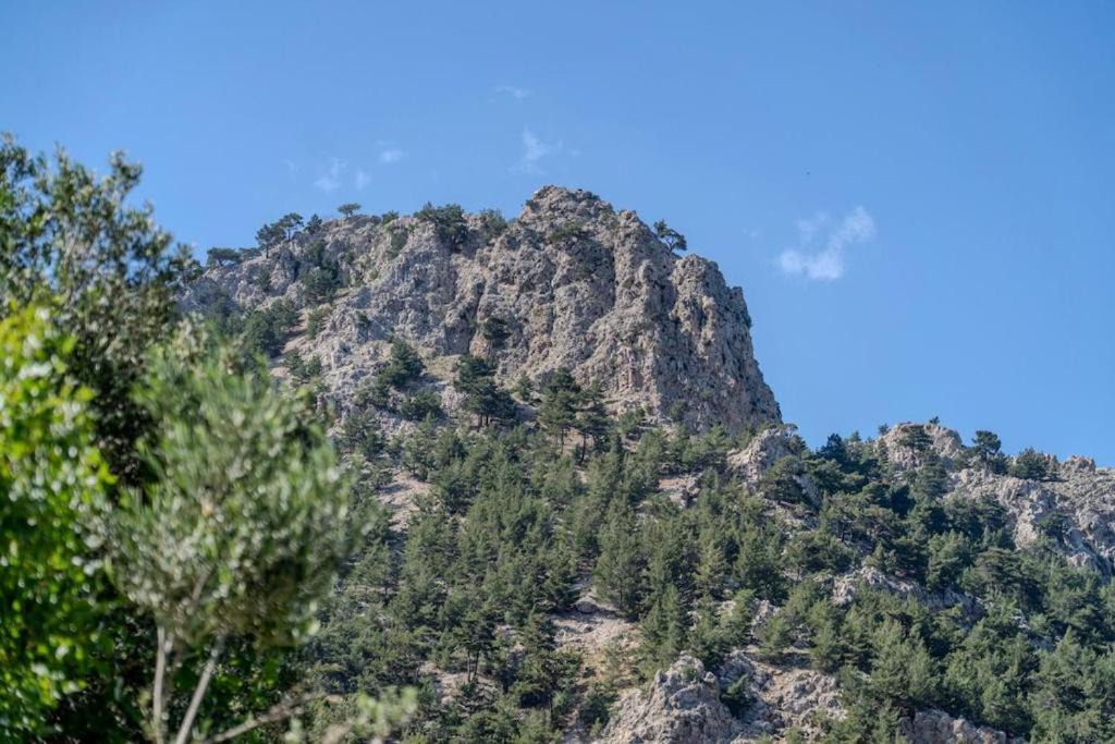 Photo of Others in Karpathos