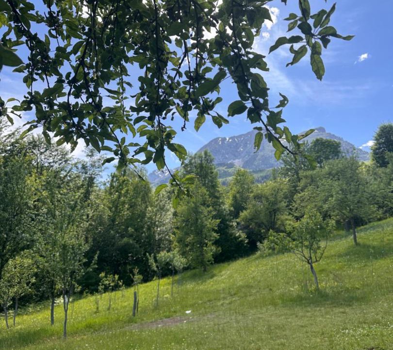 Photo of Others in Montenegro