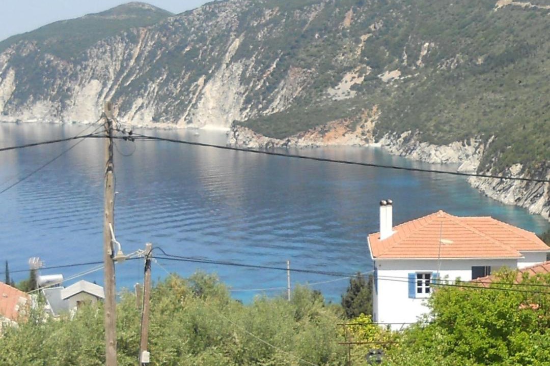 Photo of Others in Platrithias