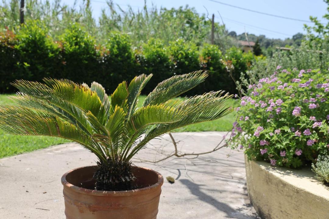 Photo of Others in Corfu