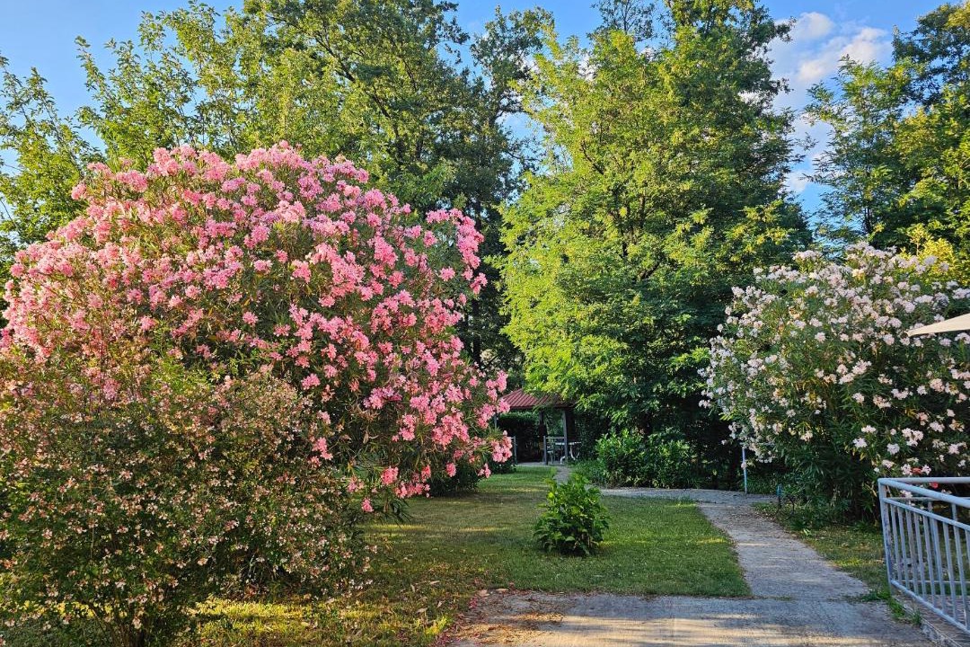 Photo of Outdoor in Danilovgrad