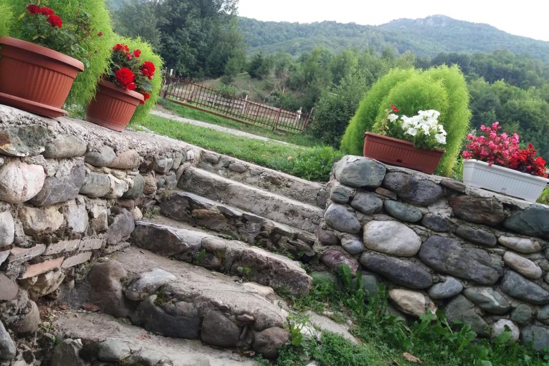Photo of Others in Montenegro