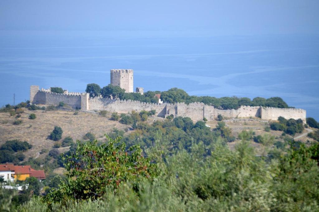 Photo of Others in Anatolikos Olimpos