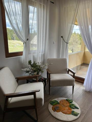 Photo of Others in Zabljak