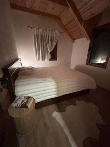 Photo of Others in Zabljak