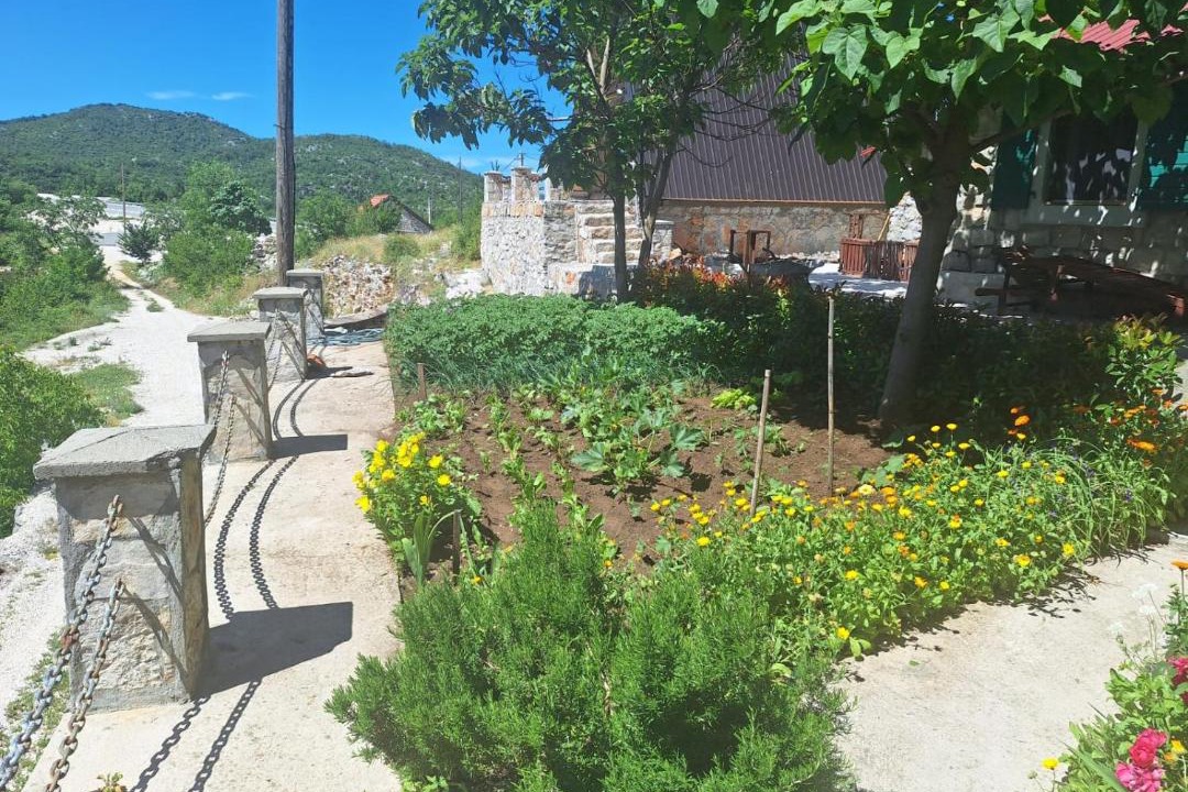 Photo of Others in Cetinje Municipality