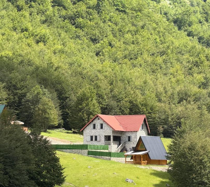 Photo of Others in Montenegro