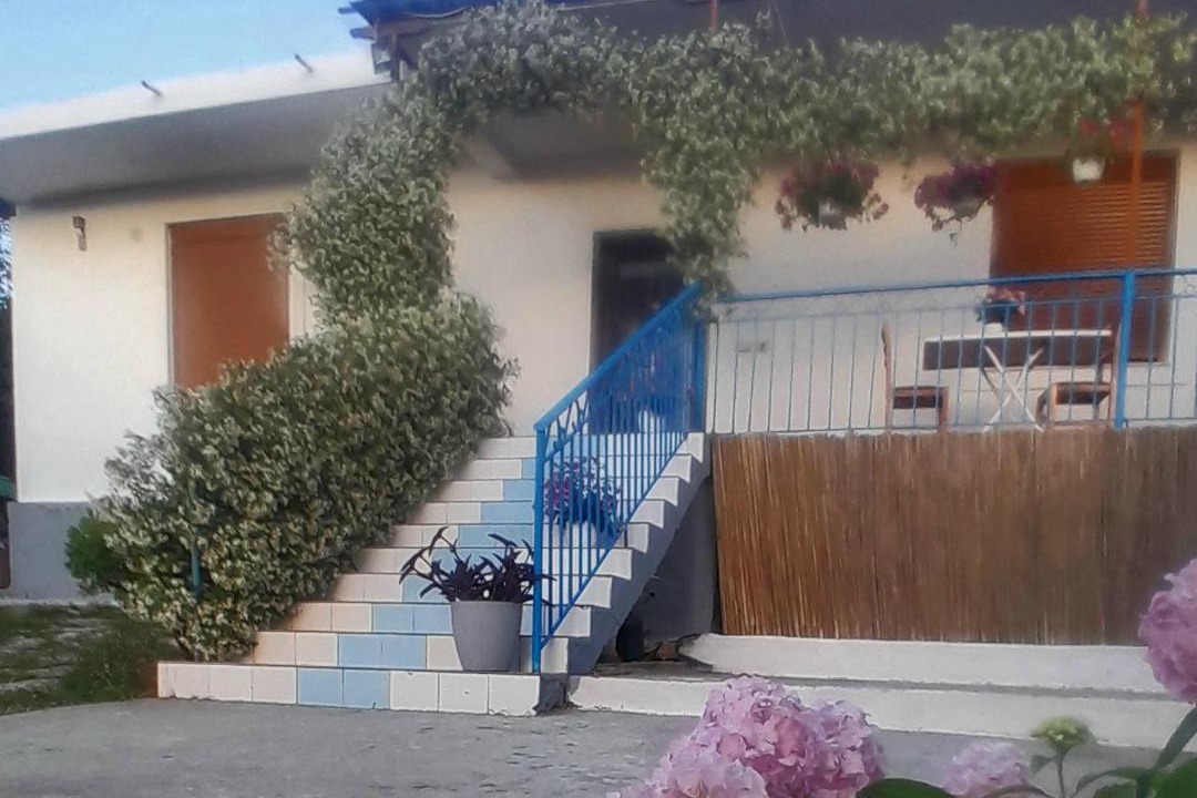 Photo of Others in Berat