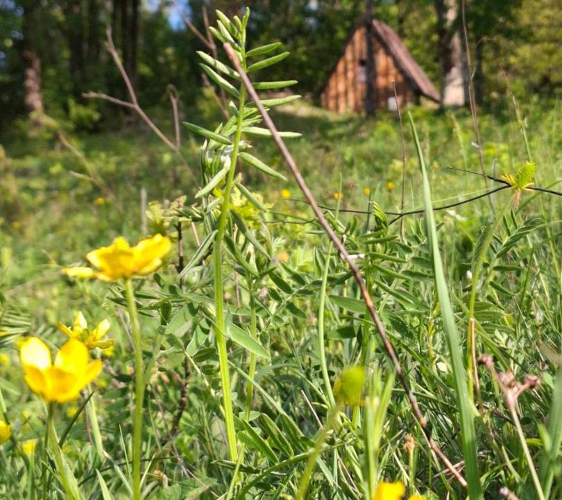 Photo of Outdoor in Donja Brezna