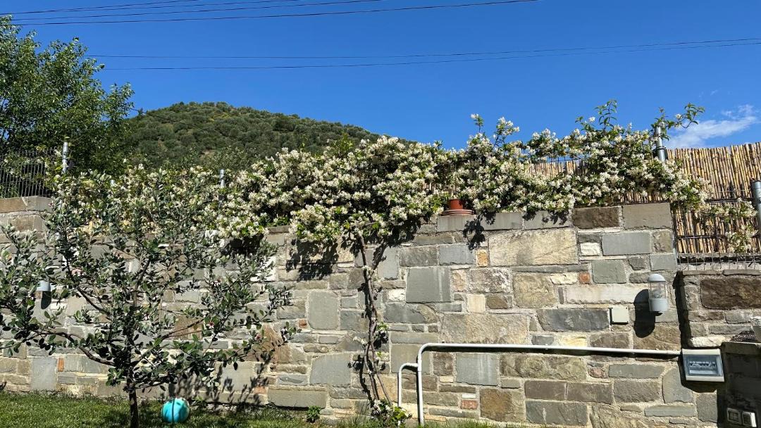 Photo of Others in Berat
