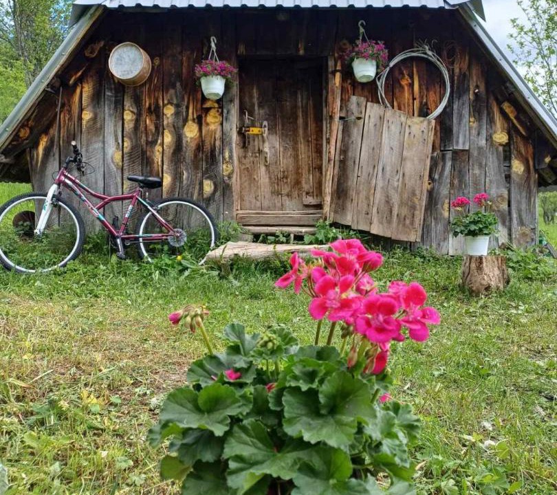 Photo of Others in Montenegro