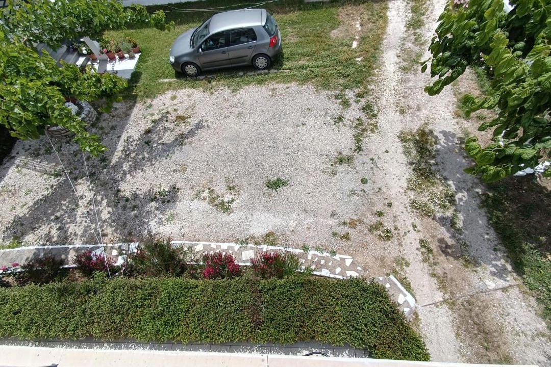 Photo of Others in Lygia
