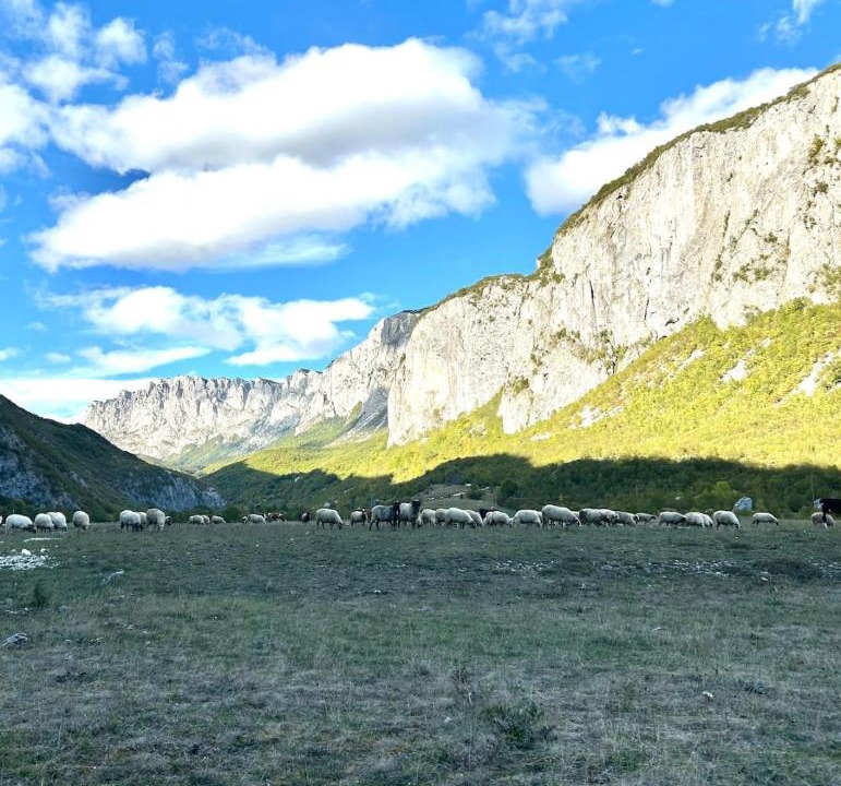Photo of Others in Savnik