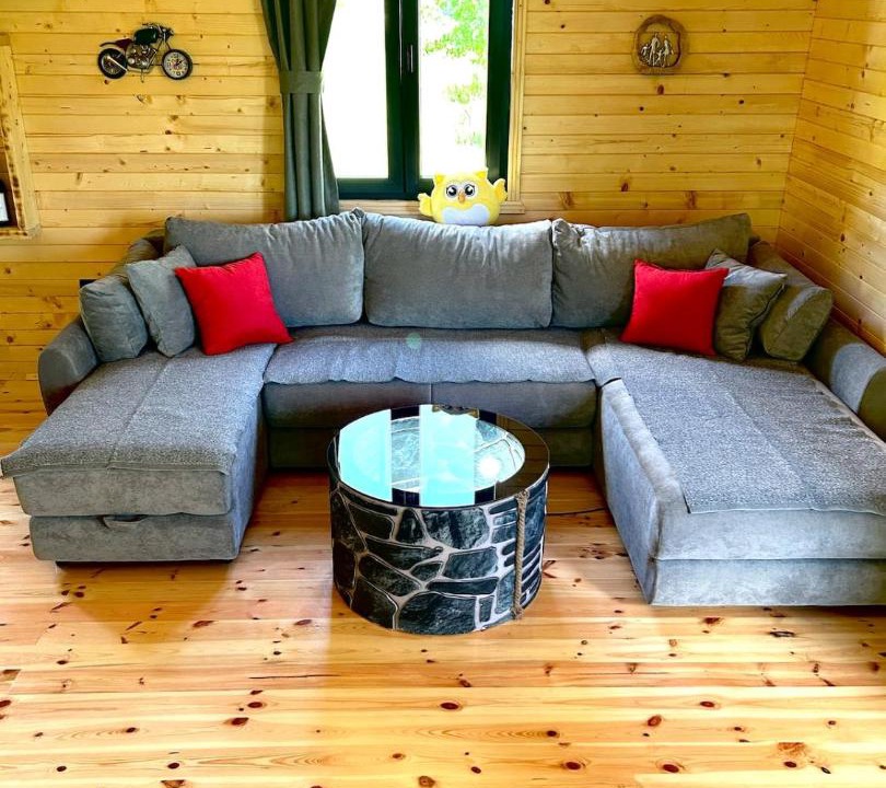 Photo of Livingroom in Savnik