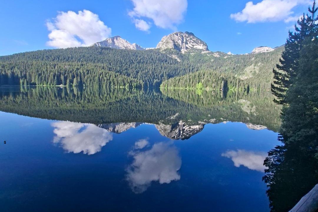 Photo of Others in Zabljak