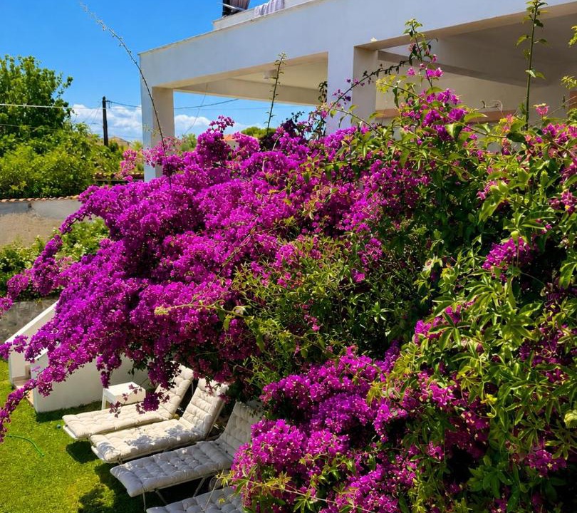Photo of Patio Balcony in Velon