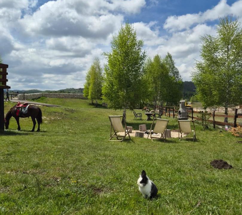 Photo of Others in Zabljak