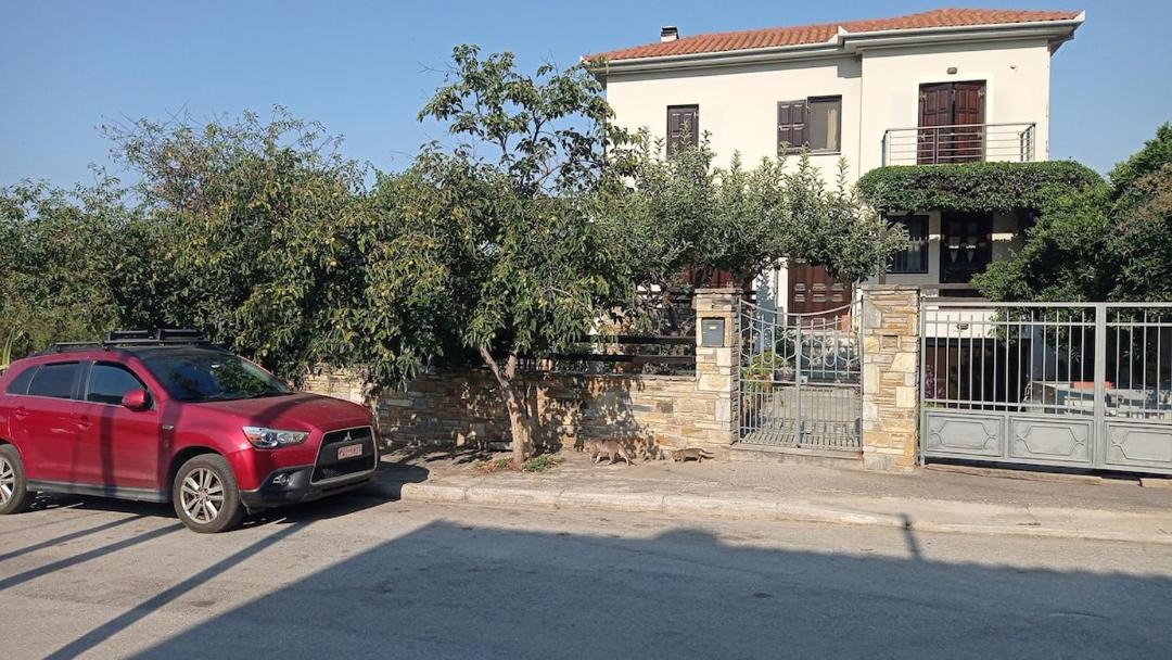 Photo of Others in Agria