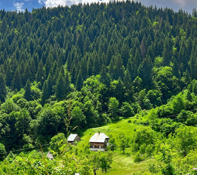 Photo of Others in Montenegro