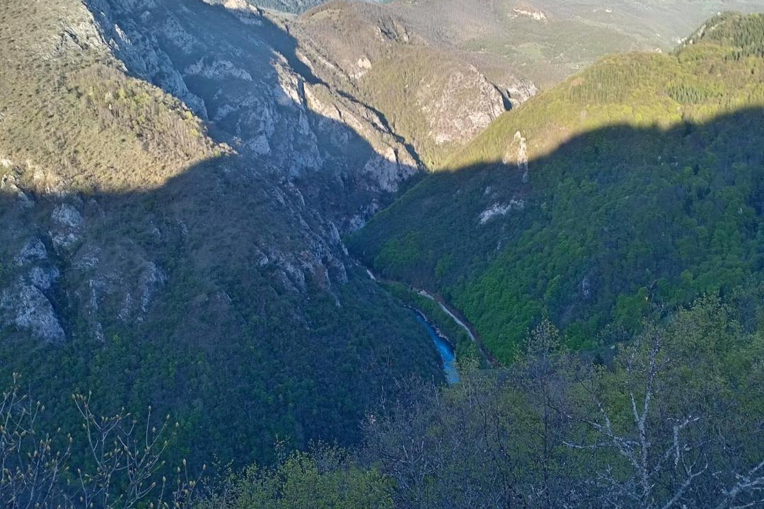 Photo of Others in Montenegro