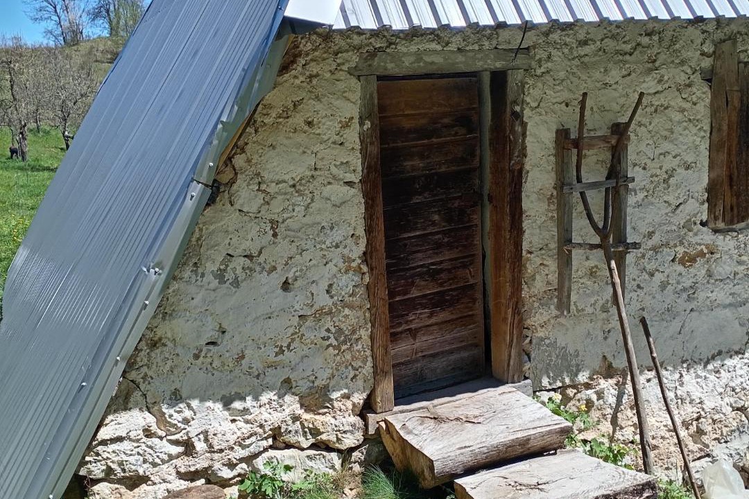 Photo of Others in Montenegro