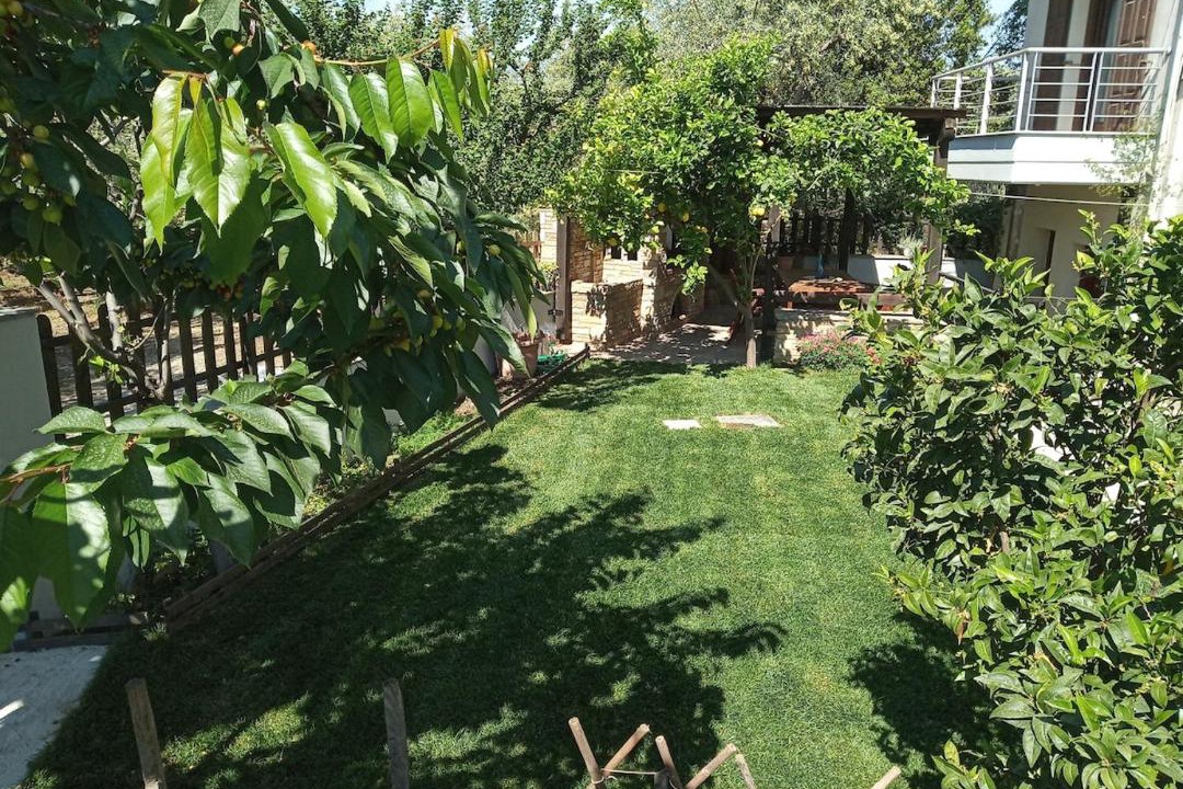 Photo of Others in Agria