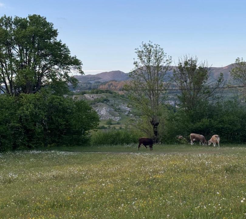 Photo of Others in Poscenje