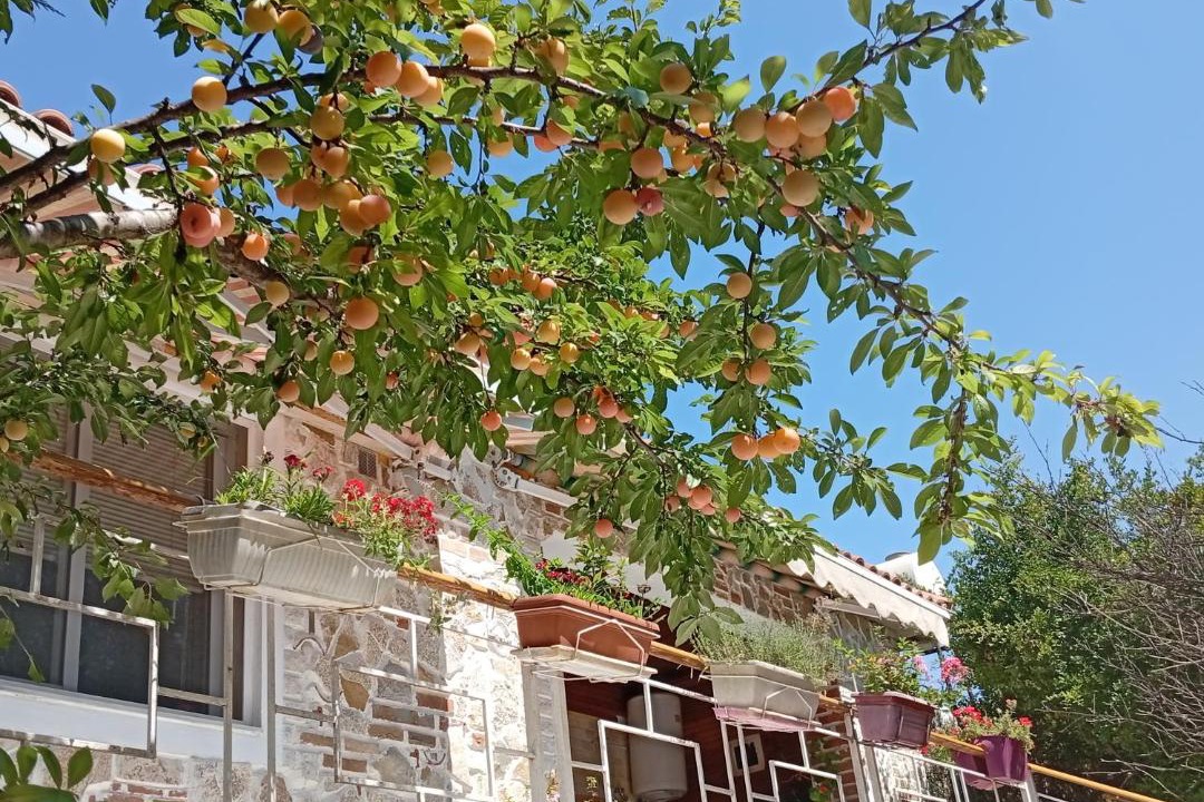 Photo of Others in Ksamil