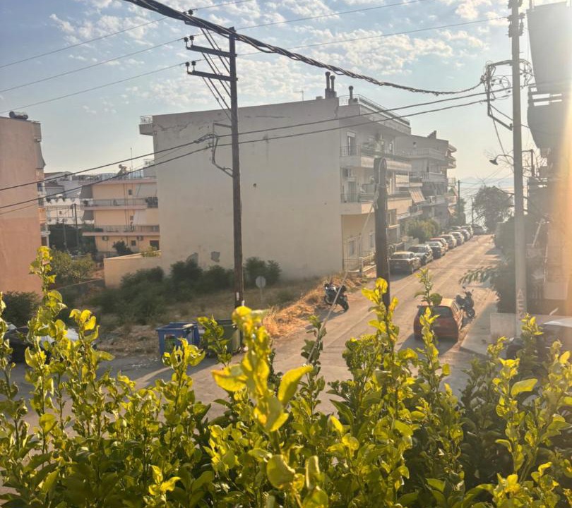 Photo of Others in Nea Artaki